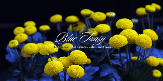 How and why to use Blue Tansy in your skincare routine? - SIMREE
