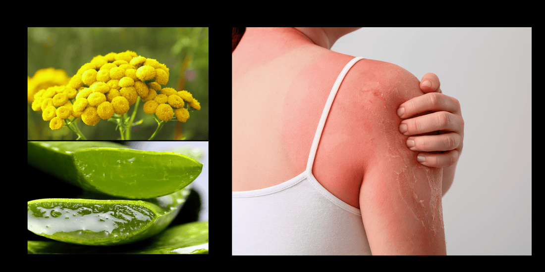 Glow Ritual: Body Care Powered by Blue Tansy and Aloe - SIMREE