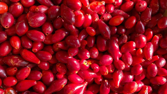 Rosehip for Indian Skin: Benefits, Uses & Why It’s a Must-Have Natural Skincare Ingredient - SIMREE