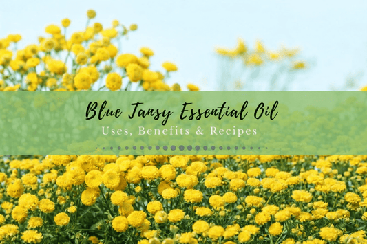 What is Blue Tansy & Why It’s a Game-Changer for Acne-Prone Skin - SIMREE