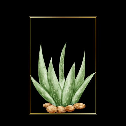 SIMREE ALOE VERA