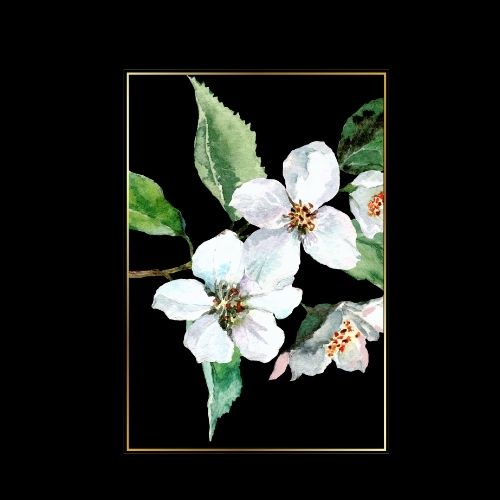 simree cosmetics Jasmine Oil