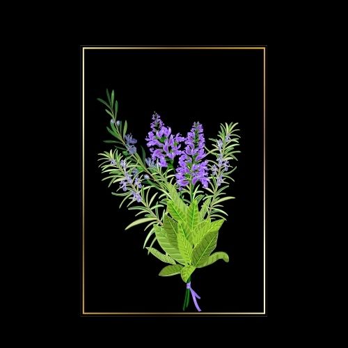 simree Rosemary Extract