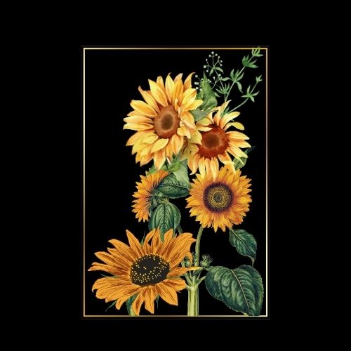 simreecosmetics sunflower